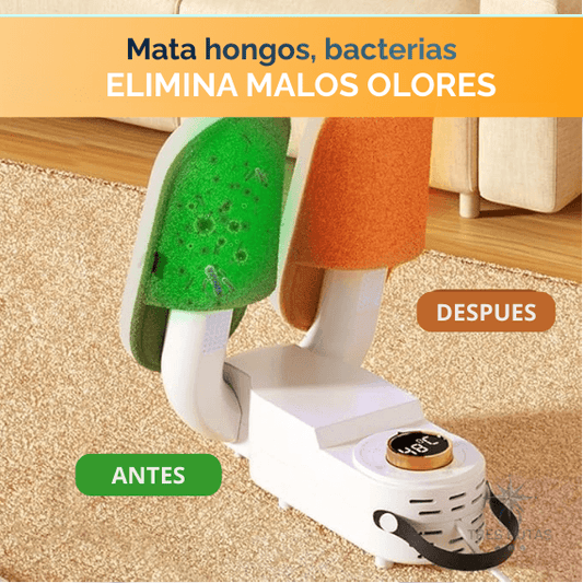 Secador de Zapatos 4 en 1